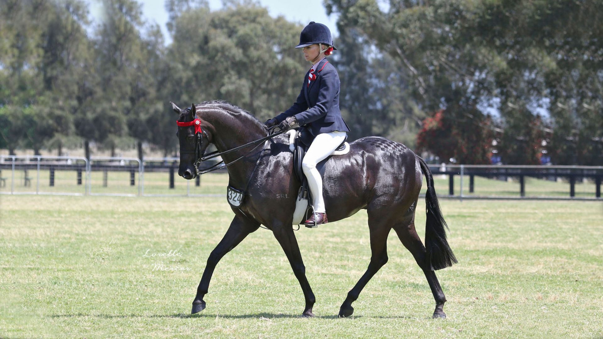 GV Produce horse products